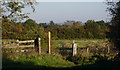 Stile and field on footpath to Sutton