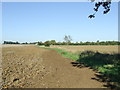 Footpath To Melton Green