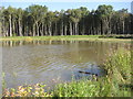 Littleworth Pond (east)