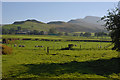 Fields west of the Afon Dyfrdwy