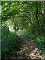 Bridleway east of Nurton, Staffordshire