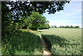 Footpath to Roodlands Lane