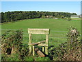 Stile near Clavertye Wood