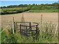 Kissing Gate near Cullens Hill