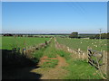 Bridleway to Shuttlesfield (2)