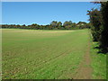 Bridleway to Gibraltar Lane