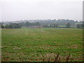 Chapel Brampton Farmland