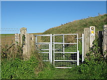 TR1838 : Kissing Gate on the North Downs Way and Saxon Shore Way by David Anstiss