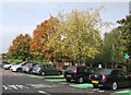 Autumn colour in a corner of the supermarket car park