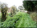 Grassy track alongside Little Spitty Reen, Newport