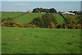 Farmland at Four Ashes, Llangovan