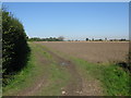 Track towards Woodnesborough