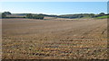 Field near Longage Farm