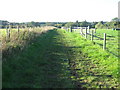 Bridleway to West Wood