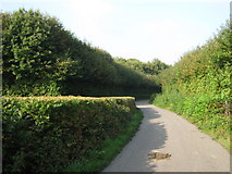 TQ7155 : Permissive path around Oaken Wood by David Anstiss