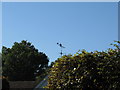 Peter Pan weather vane near Piltdown golf club