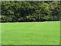 Driving range at Piltdown Golf Club