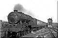 Up express at Nuneaton (Trent Valley)