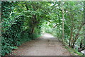 The Thames Path heading west to Barnes