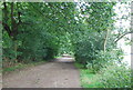 The Thames Path to Barnes