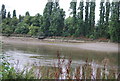 Corney Reach, River Thames