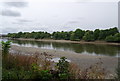 River Thames north of Barnes