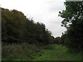 Taddington Valley