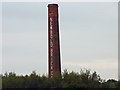 Chimney of the Newbold brickworks