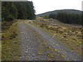 SN7784 : Forestry track at Blaen-Peithnant by Nigel Brown