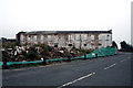 Kingholm Quay:  Derelict potato storehouse