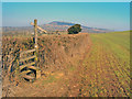 Footpath sign at Brynderi