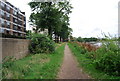 Thames Path near Barnes Bridge