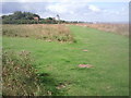 The western end of Reculver Country Park