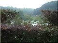 A peek into Clywedog Park static caravan site