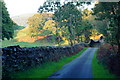 Lane Near Penrhyndeudraeth, Gwynedd