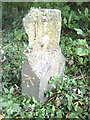 Boundary stone beside A420 near Buckland