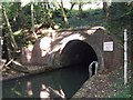 SP0375 : Worcester & Birmingham Canal - Wast Hill Tunnel (Southern Portal) by John M
