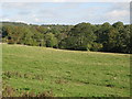 NY9068 : Farmland and woodland west of the River North Tyne near Wall (2) by Mike Quinn