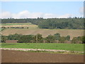 NY9068 : Farmland south of Walwick Grange by Mike Quinn
