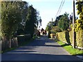 Village street, Odstock