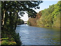 The River Thames looking towards the M25 bridge