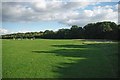 Approach to Cranham Brickfields