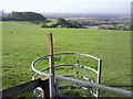 Farthing Common