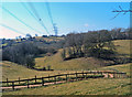 Power lines above Llyfos Wood