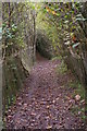 Path across the valley to Downe