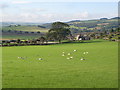 Pastures northeast of Fourstones