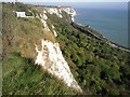 Folkestone Warren from the North Downs Way