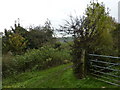 Footpath from Ambergate to Fritchley