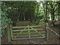 Gate into Curtis Wood