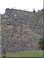 Foreigner Wall. Llanymynech quarries